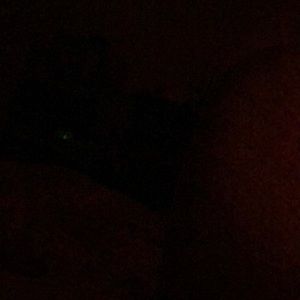 Meet your Posher, Eileen